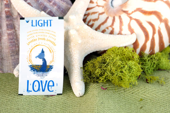 FG Xpress Solarstrips